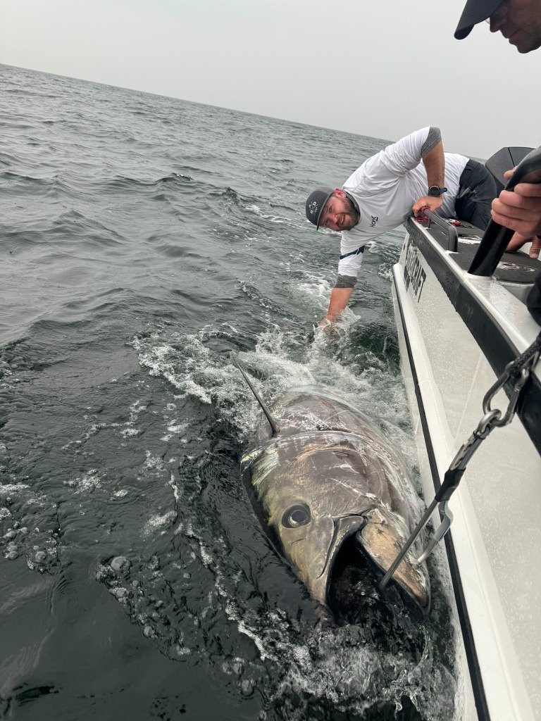 Huge Bluefin Tuna